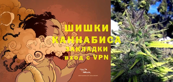 индика Лиски