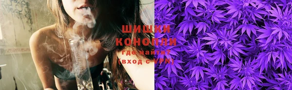 индика Лиски