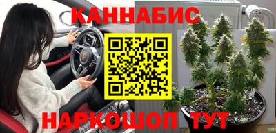 экстази Гай