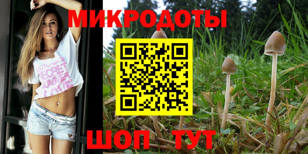 Галлюциногенные грибы Psilocybe  Вход с VPN  Кисловодск  Галлюциногенные грибы Cubensis 
