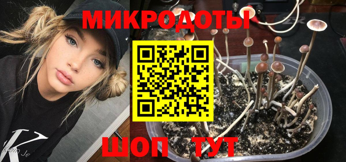 Галлюциногенные грибы MAGIC MUSHROOMS Кисловодск